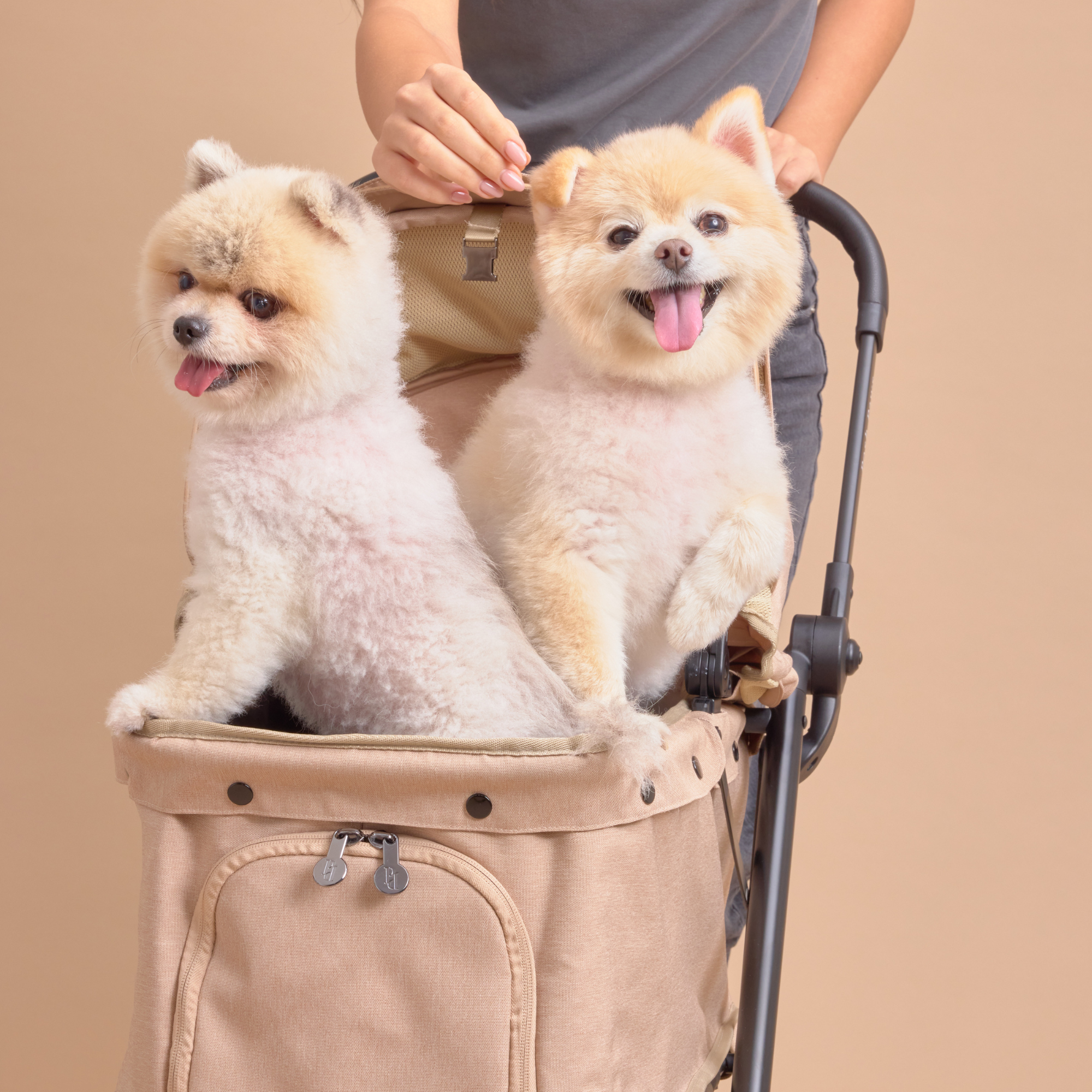 TESORO Passeggino per animali domestici-Dune Marrone