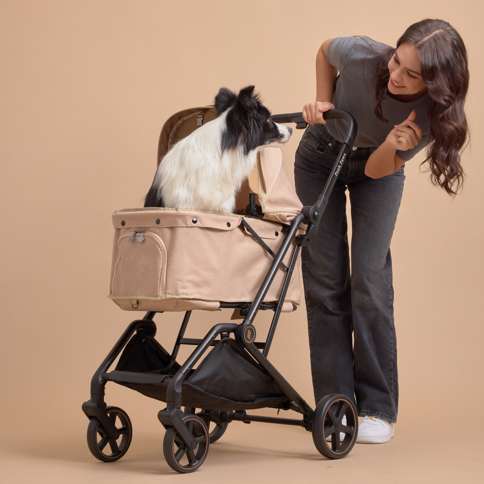 TESORO Passeggino per animali domestici-Dune Marrone